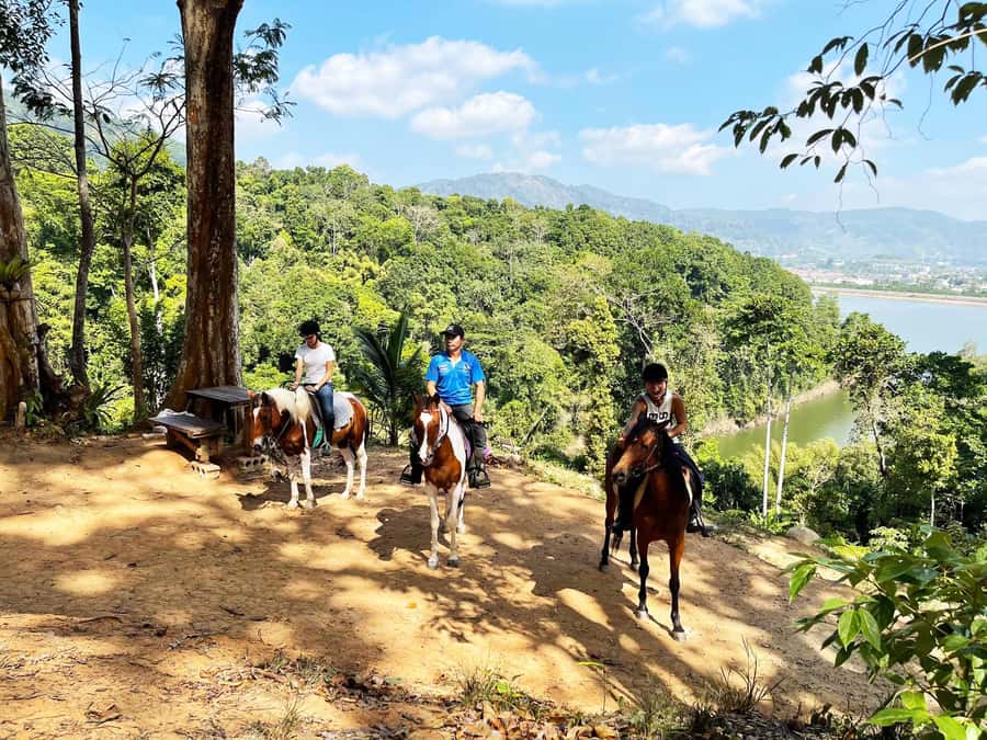 Phuket Jungle Horseback Ride with Scenic Forest Views - Practical Details & What Matters to You