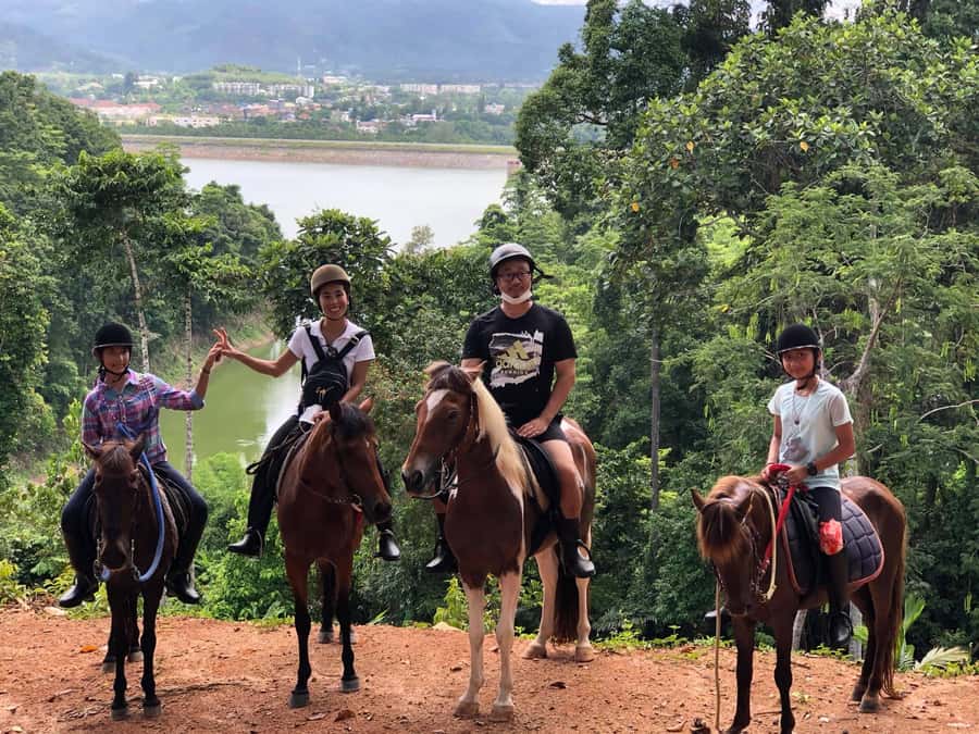 Phuket Jungle Horseback Ride with Scenic Forest Views - Final Thoughts