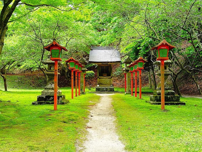 Kyoto: Mount Hiei Guided Tour  Mother of Japanese Buddhism - Analyzing the Value: Is This Tour Worth It?