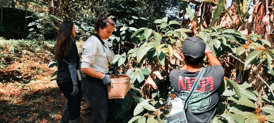 Munduk: Regenerative Roots Permaculture Farm Tour - Authentic Insights from Reviewers