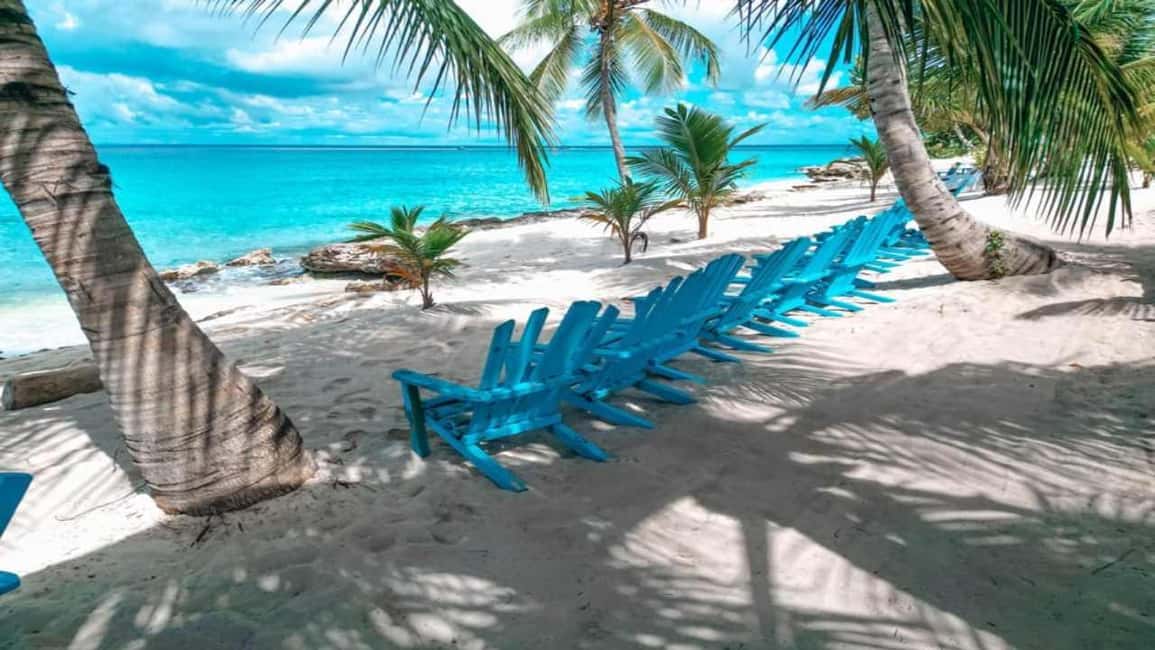 Carnevial Shore Excursion: Saona Island with Speedboat Ride - Good To Know