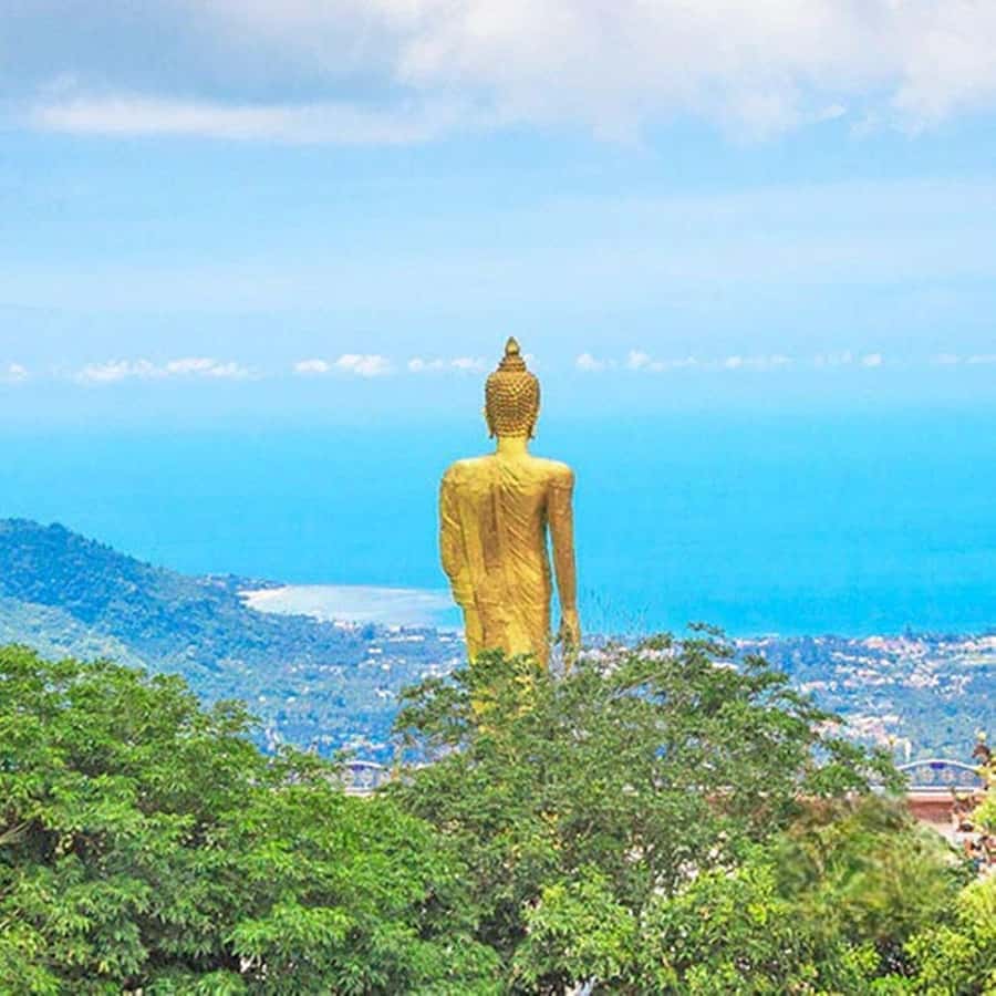 Koh Samui: Private Jungle Safari Tour with Lunch - The Value and Practicality of this Tour