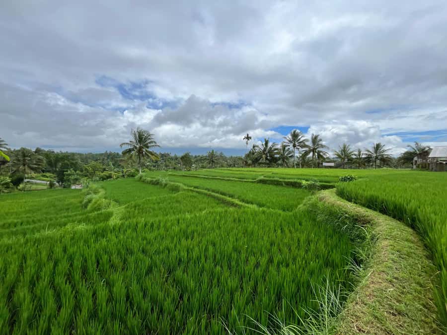 Lombok: Benang Kelambu & Stokel Waterfall, Culture & Beach - Beachside Relaxation at Tanjung Aan & Merese Hill