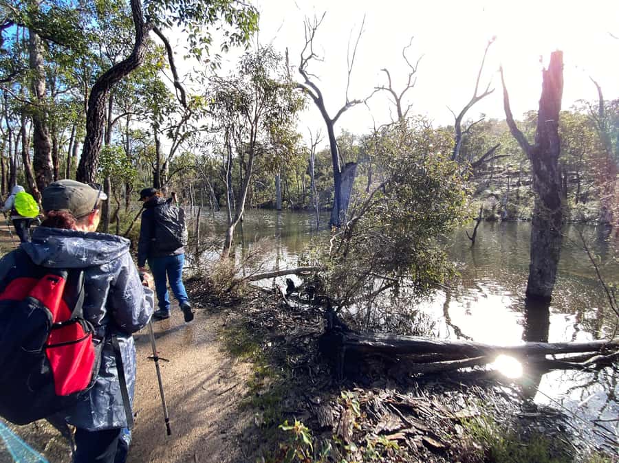 Perth: Numbat Trail Hike at Paruna Wildlife Sanctuary - Key Points