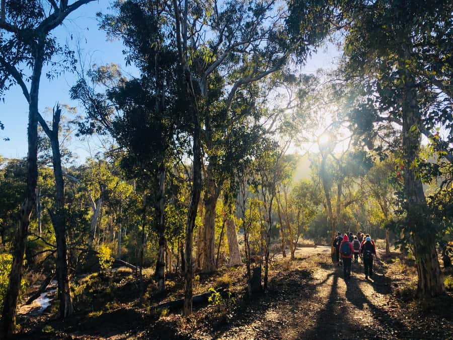 Perth: Numbat Trail Hike at Paruna Wildlife Sanctuary - Is it Suitable for Everyone?