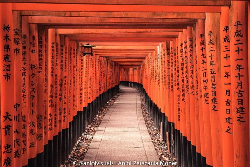 Kyoto: Private Customizable Day Tour with Guide and Vehicle - What’s in the Itinerary?