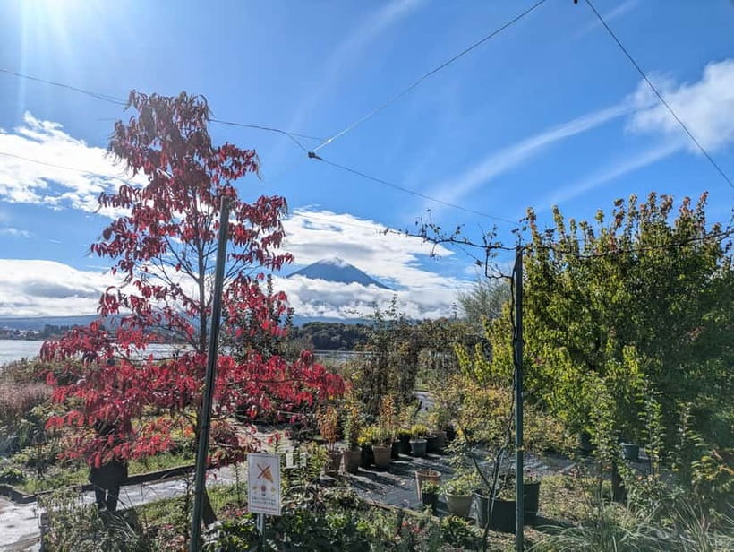 Lake Kawaguchi: Half day Private Tour with local guide - FAQ