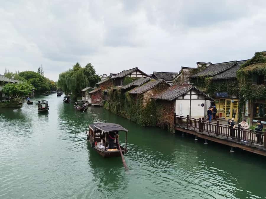 Private Wuzhen Water Town Day Tour from Hangzhou - Authentic Insights from Reviewers