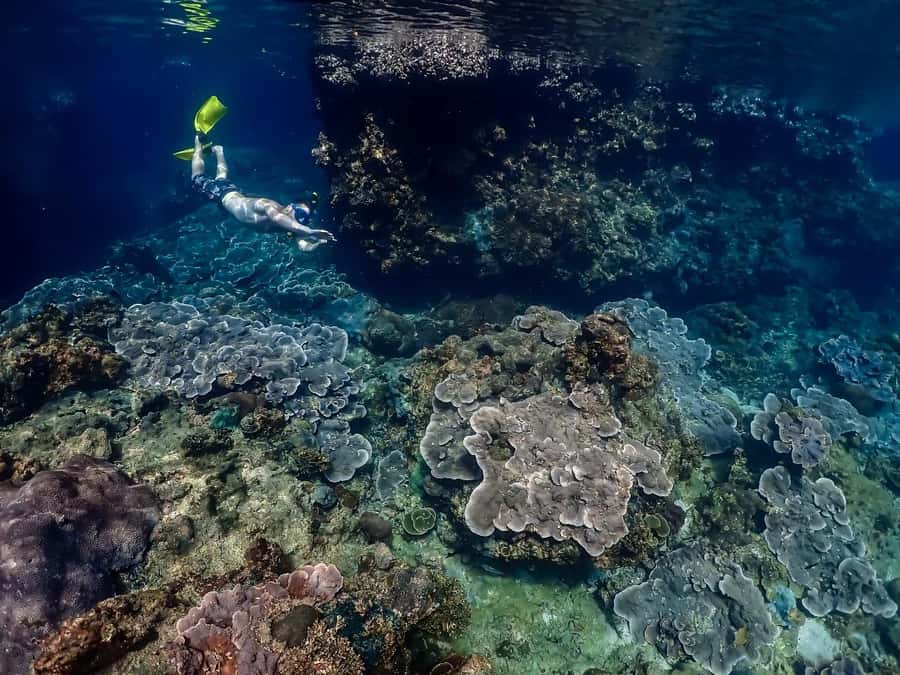 Ko Lanta: Private Long-tail Boat Fishing & Snorkeling Tour - Key Points