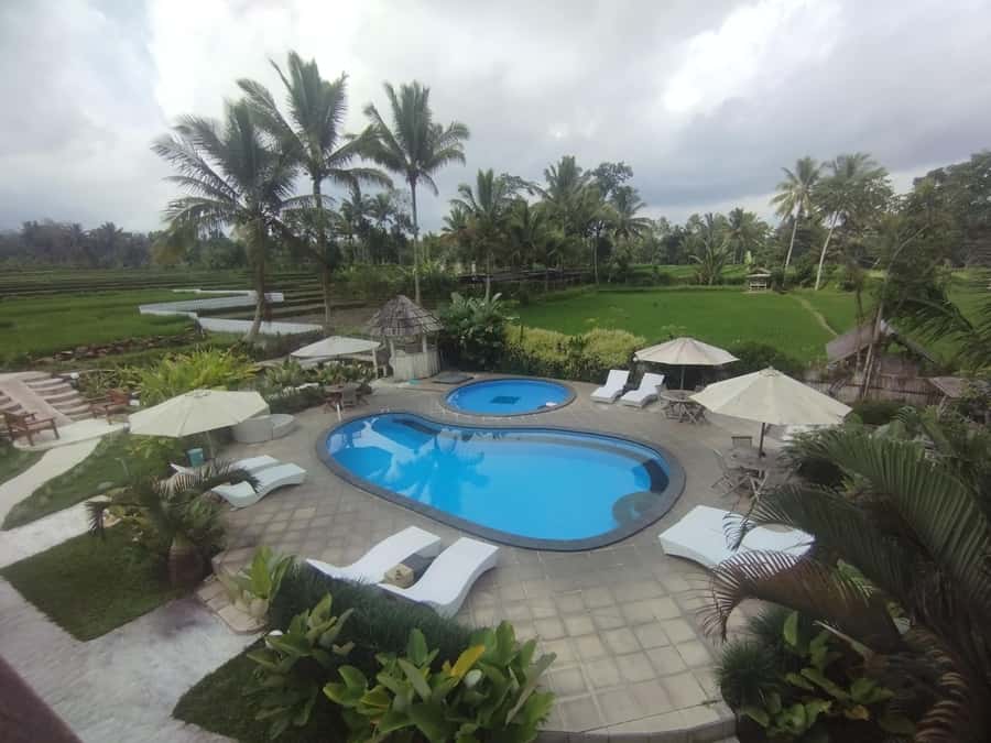 Tetebatu : Ricefield tour,waterfall and monkey forest - The Itinerary Breakdown