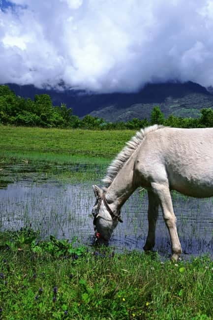 Lijiang: Yulong Snow Mountain, Blue Moon Valley & Show - Good To Know