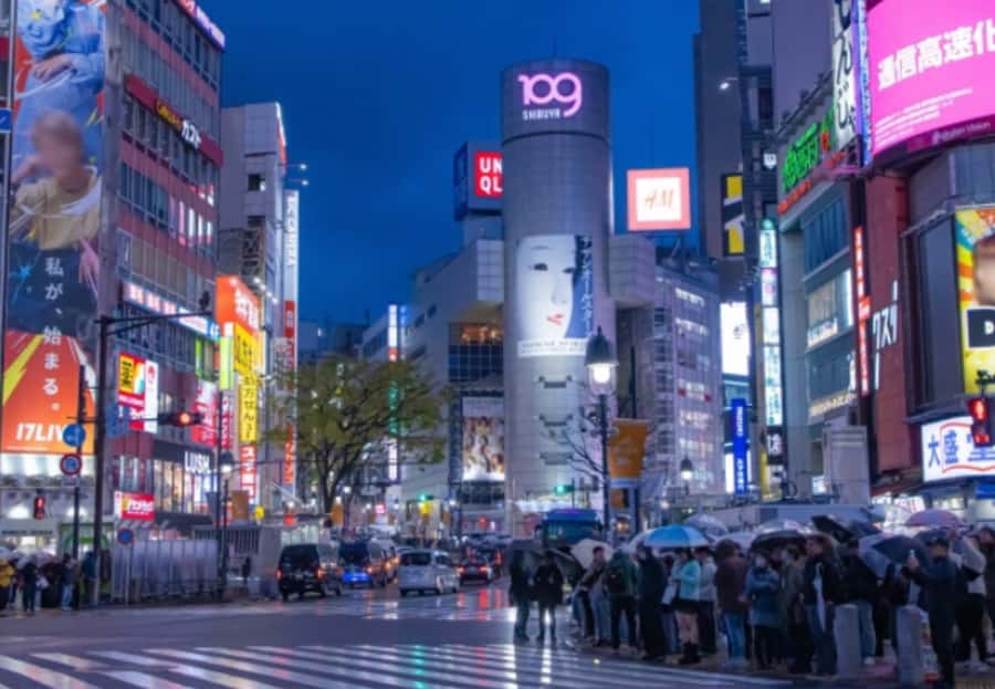 Tokyo: Shibuya and Shinjuku Night Private Walking Tour - Practical Tips for Future Travelers