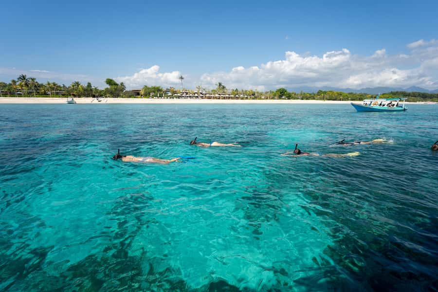 From Gili Air: Private or Small Group Snorkeling Boat Tour - Authentic Reviewer Insights