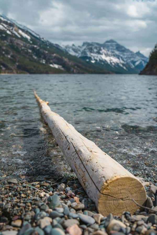 Waterton National Park Adventure Day Tour from Calgary - Cameron Falls: A Refreshing and Photogenic Stop