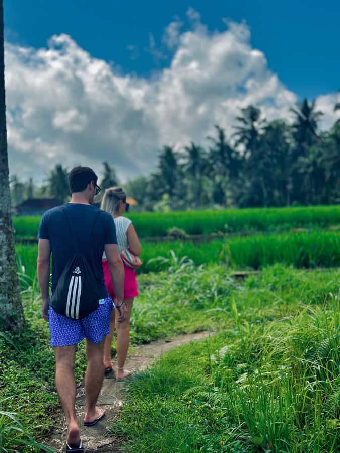 Ubud Trekking : Explore Kenderan Village & Waterfalls - The Sum Up