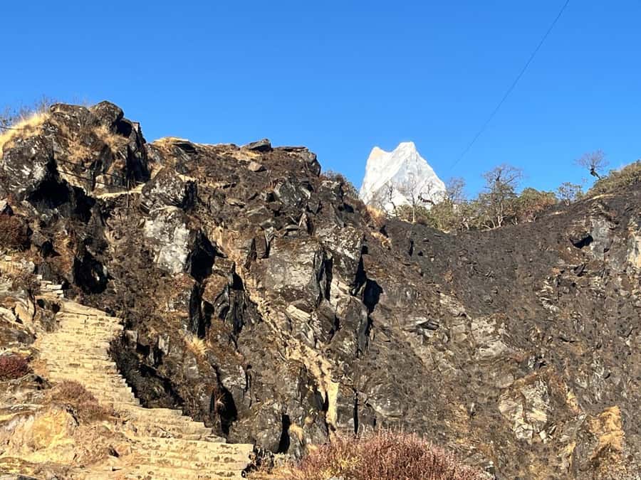 Mardi Himal Trek - An In-Depth Look at the Mardi Himal Trek