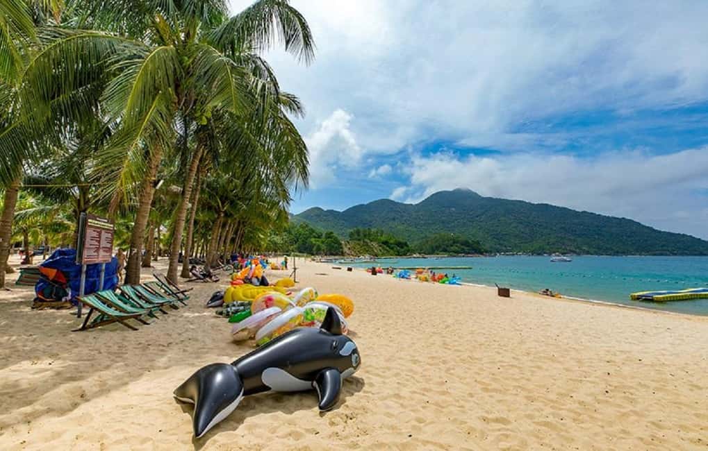 Cham Island: Experience Snorkeling and Lunch In A Day Tour - Who Will Love This Tour