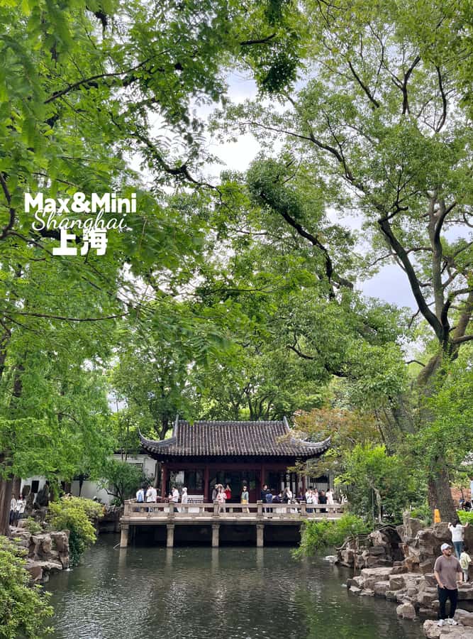 Yuyuan Garden Unlocked: A Masterclass in Chinese Aesthetics - The Experience: What You Can Expect from the Tour