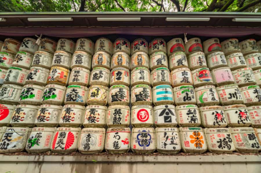 Tokyo: Meiji Shrine Walking Tour with Local Japanese Guide - Why You’ll Love the Meiji Shrine Walking Tour