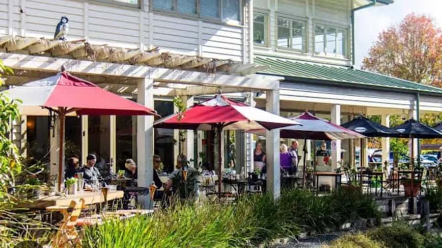 From Auckland: Kiwi Bird Encounter & 3-Course Dinner Tour - The Sum Up