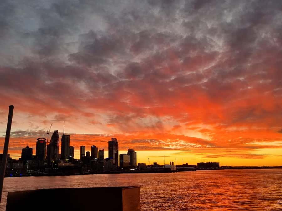 Auckland: Nightlights Harbour Cruise with Canapés and Drink - An Overview of the Experience