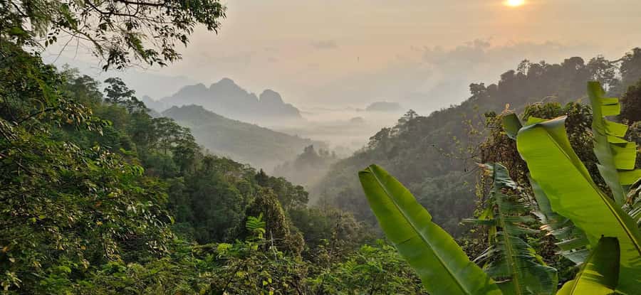 Khao Sok National Park: 3-day nature & jungle tour on Cheow Lan Lake - An Introduction to the Khao Sok Experience