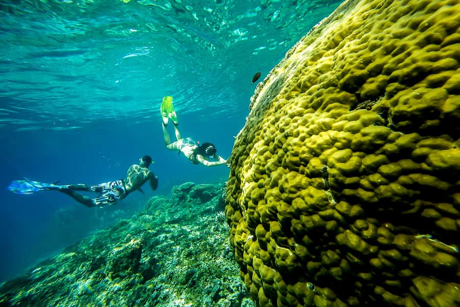 Bali: Swim with Manta Rays in Penida, Optional Lunch & Kayak - Afternoon Activities: Kayaking, Paddleboarding, or Massage