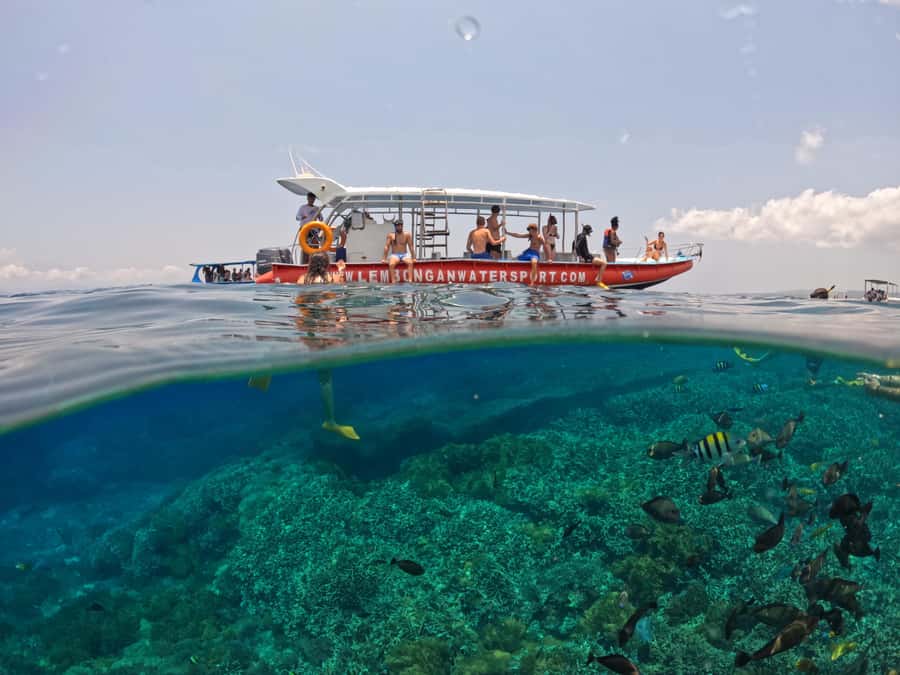 Bali: Swim with Manta Rays in Penida, Optional Lunch & Kayak - Safety and Practicality