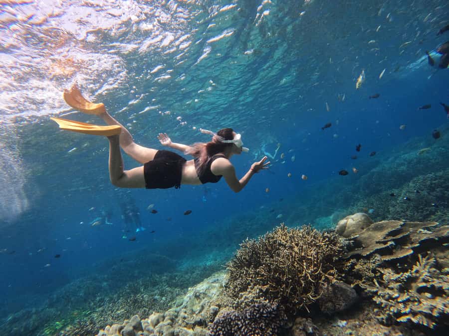 Bali: Swim with Manta Rays in Penida, Optional Lunch & Kayak - Who Is This Tour Best For?