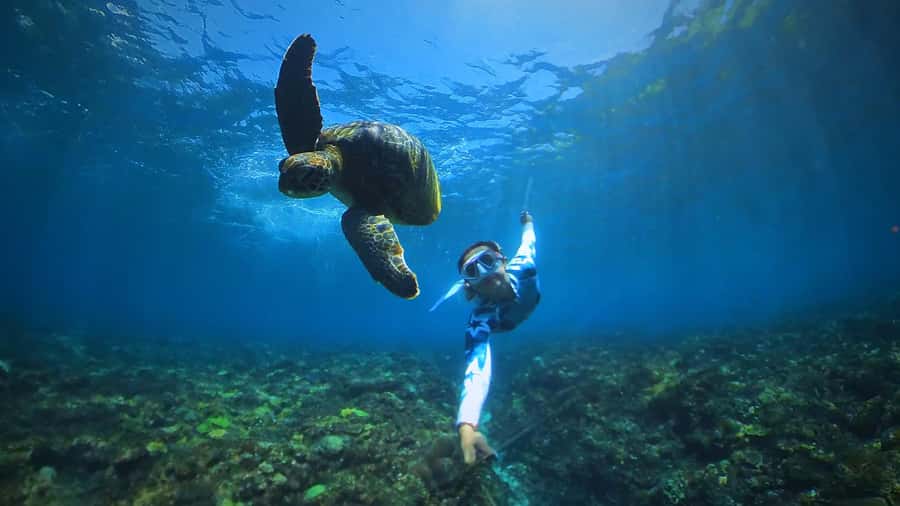 Bali: Swim with Manta Rays in Penida, Optional Lunch & Kayak - Value for Money