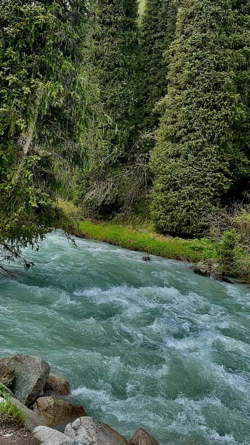 Bishkek: Kyrgyzstan 7-Day Guided Tour Meals & Accommodation - The Practical Aspects: What to Expect and How to Prepare