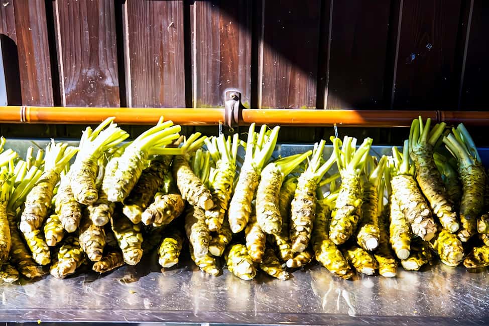 Matsumoto Everything: Castle, Miso, Wasabi, Wine & Ukiyo-e - A Practical Look at the Matsumoto Experience: Castle, Miso, Wasabi, Wine & Ukiyo-e