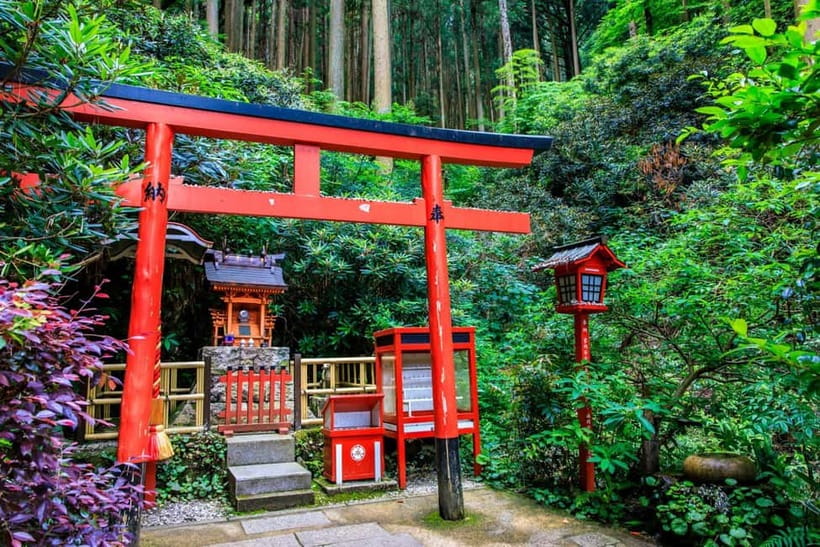 Fukuoka: Nanzoin Temple & Reclining Buddha Guided Tour - Who This Tour Is Perfect For