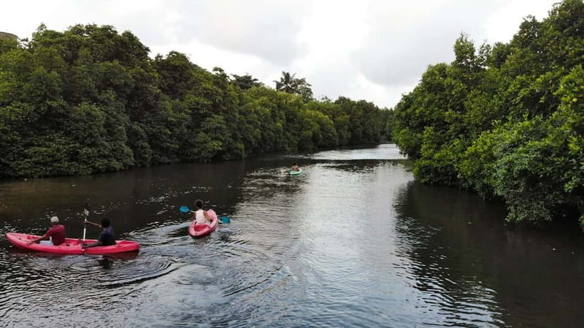 Negombo: Guided Kayaking Tour in the Lagoon - Key Points
