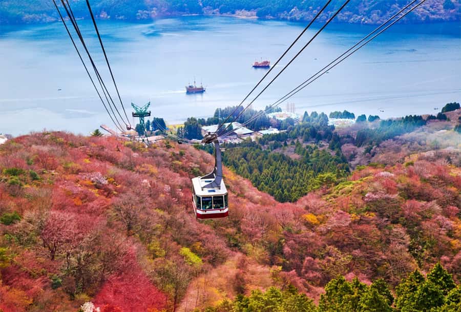 Tokyo Mt. Fuji & Hakone,Lake Ashi FREE Pirate Ship+Cable Car - Yamanakako Swan Beach and Oshino Hakkai