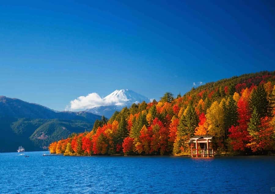 Tokyo Mt. Fuji & Hakone,Lake Ashi FREE Pirate Ship+Cable Car - Practical Aspects and Overall Value