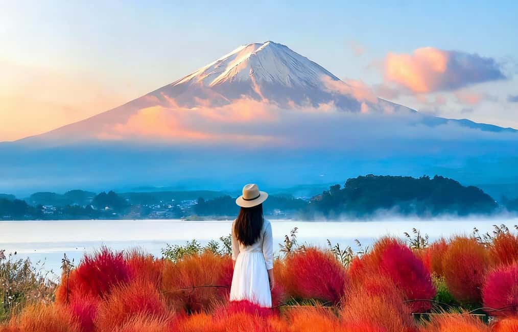 Mt. Fuji Tour: Lake Kawaguchiko Ropeway,Matcha,Oshino Hakkai - Who Will Enjoy This Tour?