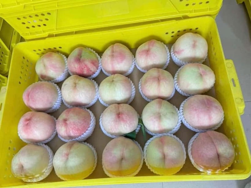 Shanghai: Delicate Seasonal Fruits and Picking Experience - A Genuine Look at the Farm Experience