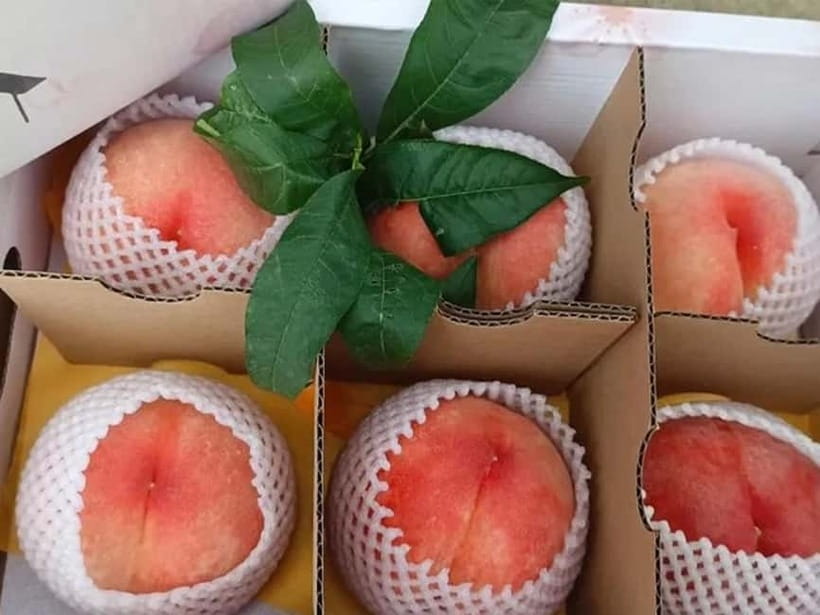 Shanghai: Delicate Seasonal Fruits and Picking Experience - The Sum Up