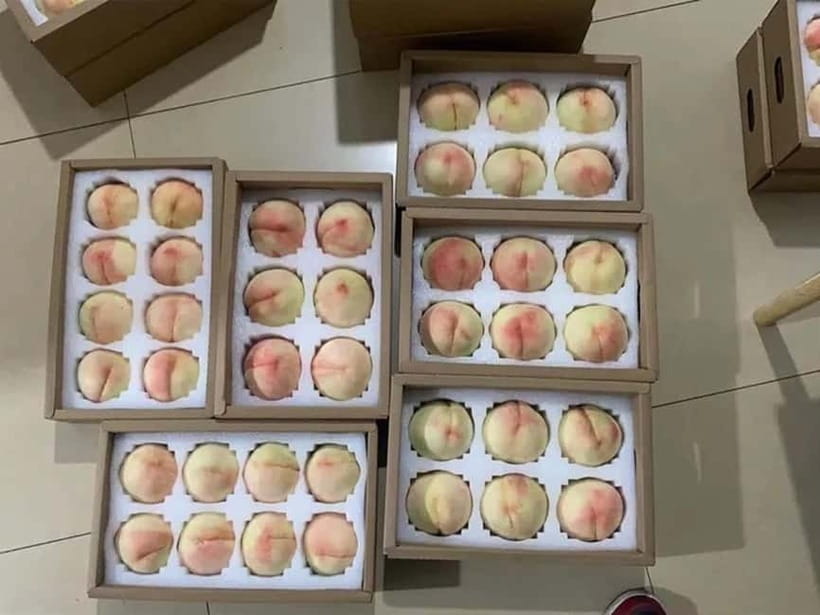 Shanghai: Delicate Seasonal Fruits and Picking Experience - Practical Considerations