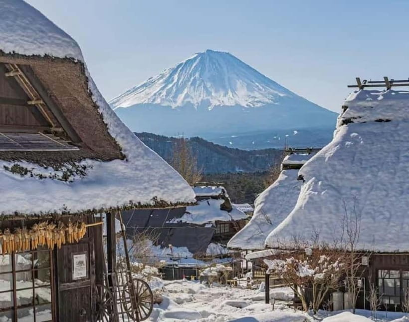Mt Fuji Tour: Lake Kawaguchi, Shrine,Healing Village &Pagoda - What to Expect from the Tour
