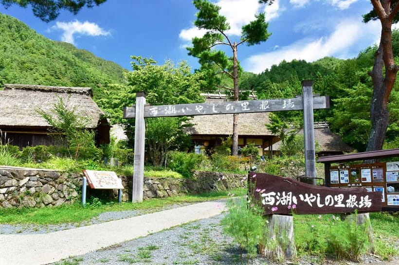 Mt Fuji Tour: Lake Kawaguchi, Shrine,Healing Village &Pagoda - Final Thoughts: Who Will Love This Tour?