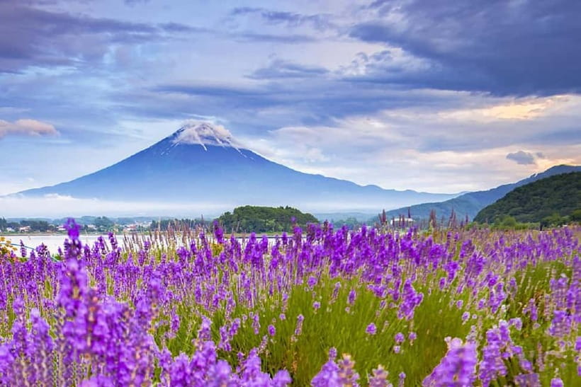 Mt. Fuji 6 Attractions Tour: Lake Kawaguchi, Oshino Hakkai - Key Points