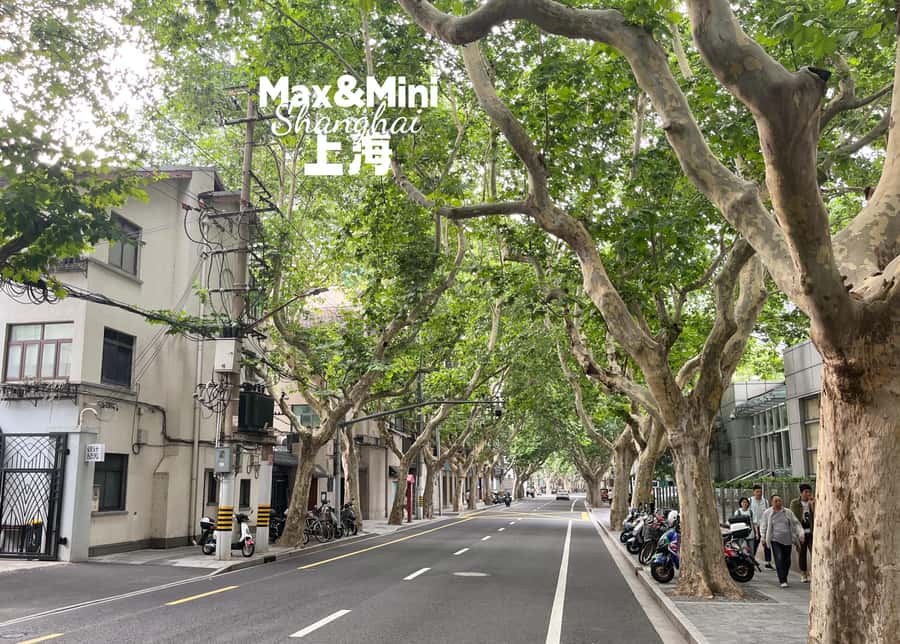 Uncover Shanghai's Heritage in French Concession Hidden Gems - Practical Details & What to Expect