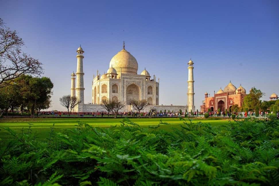 From Delhi: Taj Mahal Sunrise Tour with Elephant SOS Center - The Experience in Detail