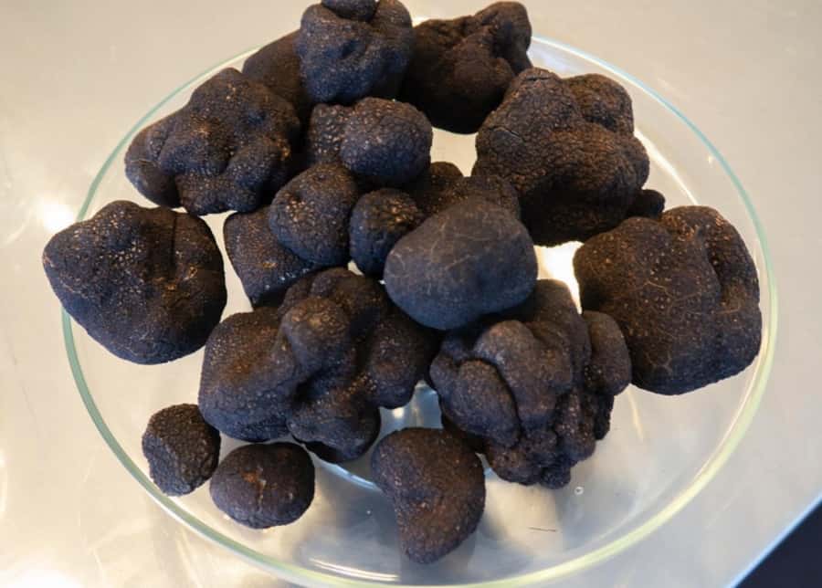 Oberon: Truffle Hunt and Tasting Experience - Who Would Love This Experience?