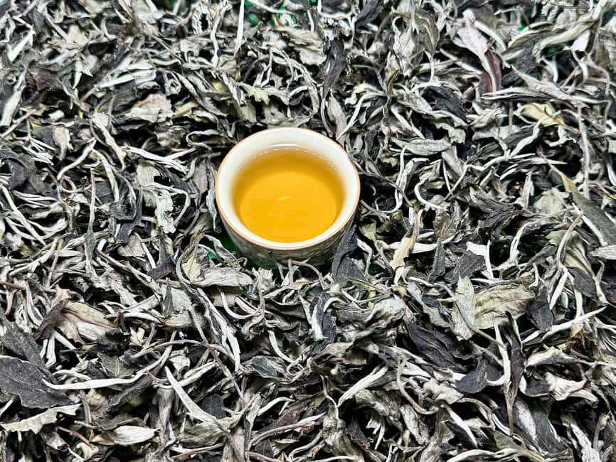 Vietnam Tea Tasting & Train Street & Lunch (Buncha & Banhmi) - Key Points