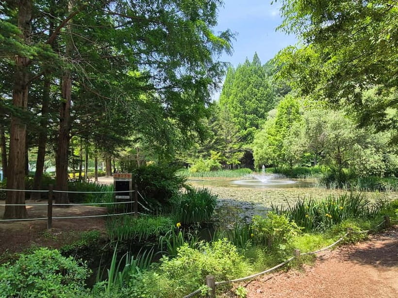 Andong: UNESCO Sites, Mask Dance, and Stunning night View - Night Views and Scenic Relaxation