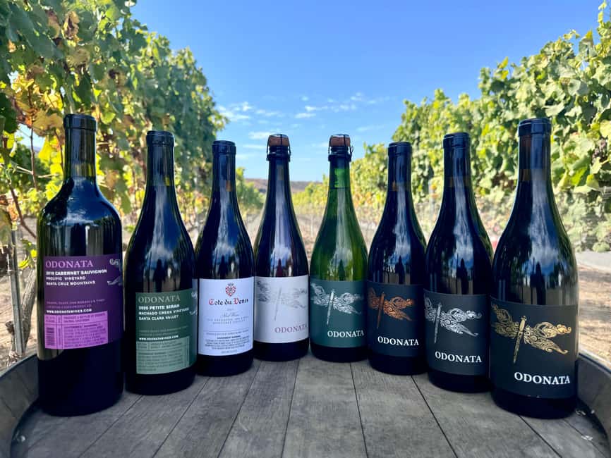 Salinas Valley, CA: Wine tasting experience - In-Depth Look at the Salinas Valley Wine Tasting at Odonata Wines