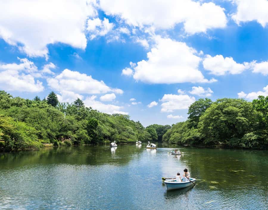 Tokyo local lifestyle Kichijoji : Coffee, Happiest Block - Who Will Love This Tour?